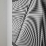 Opticinéticos 2013, Galería La Cuadra